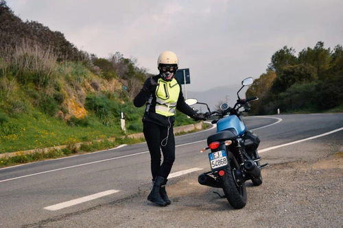 山林深處，文化藝術(shù)的靜謐綻放——文化藝術(shù)咨詢服務(wù)在山中的高曝光率探析